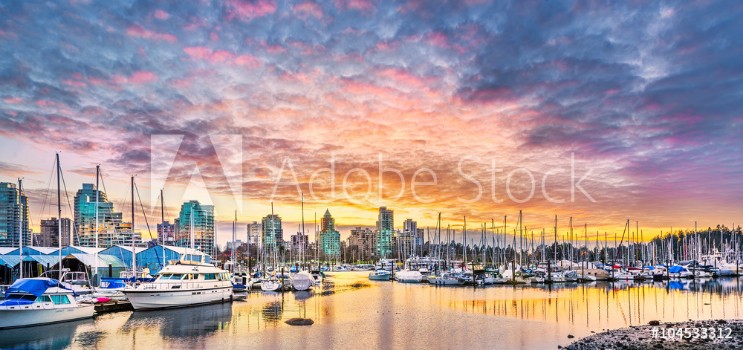 Picture of Coal Harbor at Sunset